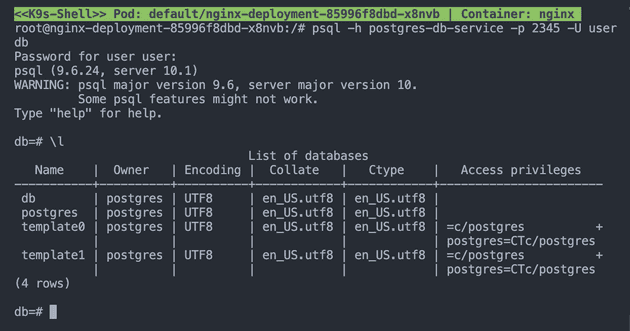 Access to another pod Postgres CLI