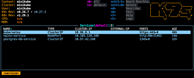 Services with Nginx pod of type NodePort