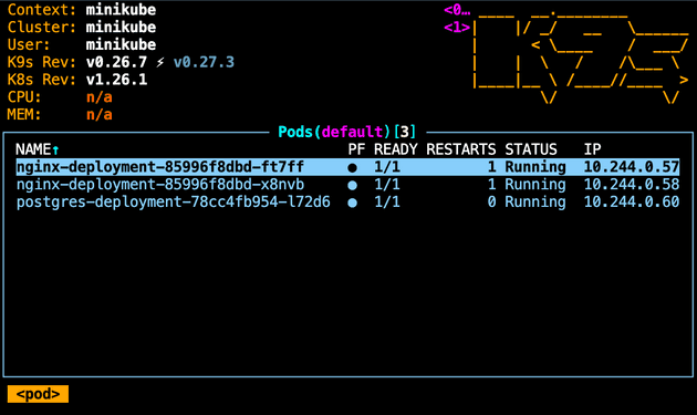 Pods of Postgres and Nginx on Kubernetes